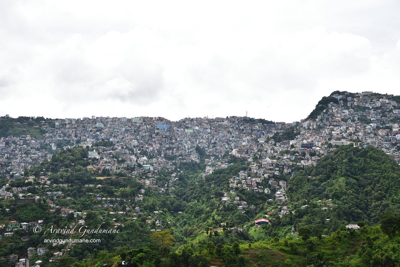 blog-images