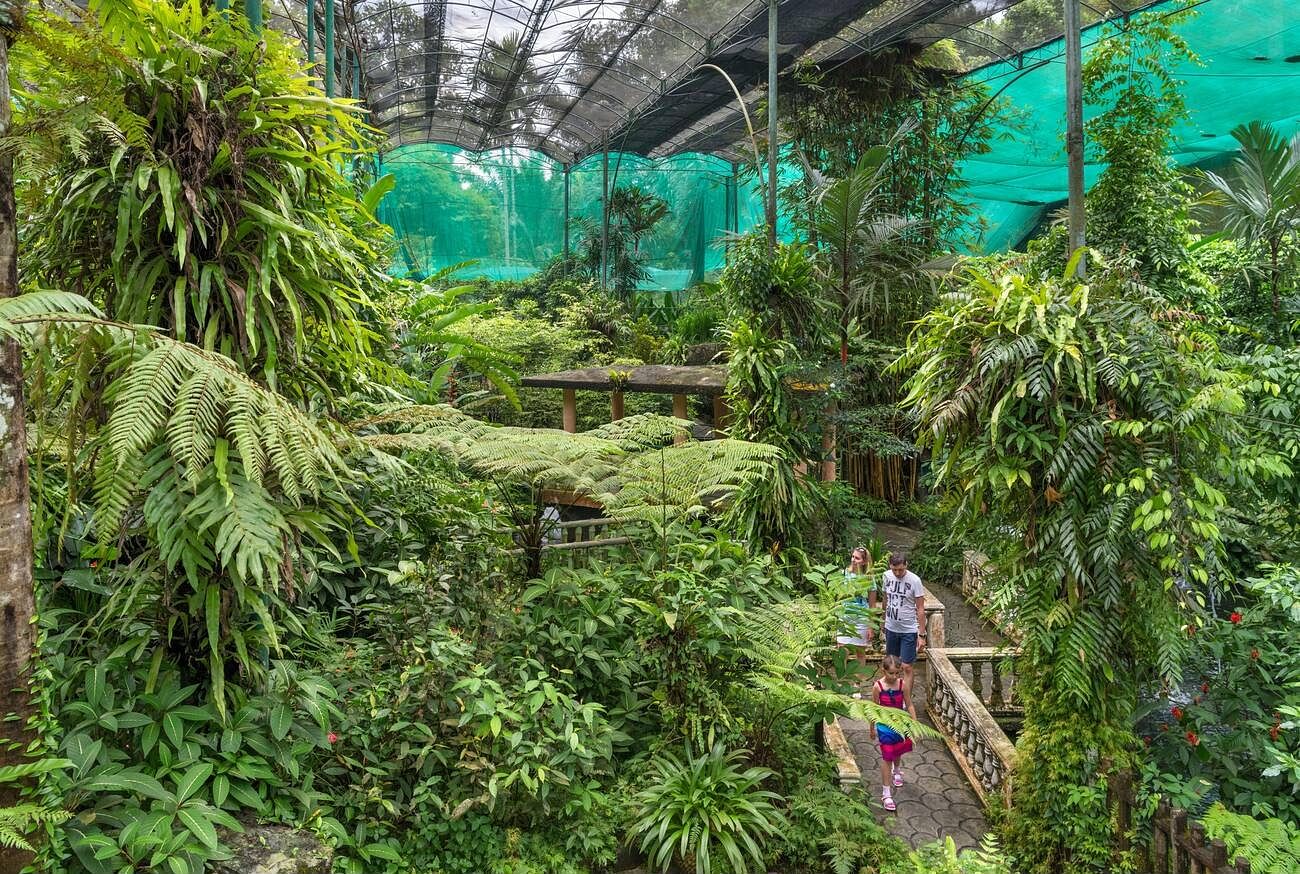 butterfly-Park: A Nature Lover&#8217;s-Paradise &#8211; Your Ultimate -Tourist Guide