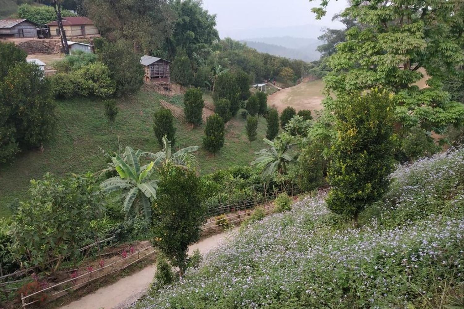 blog-images