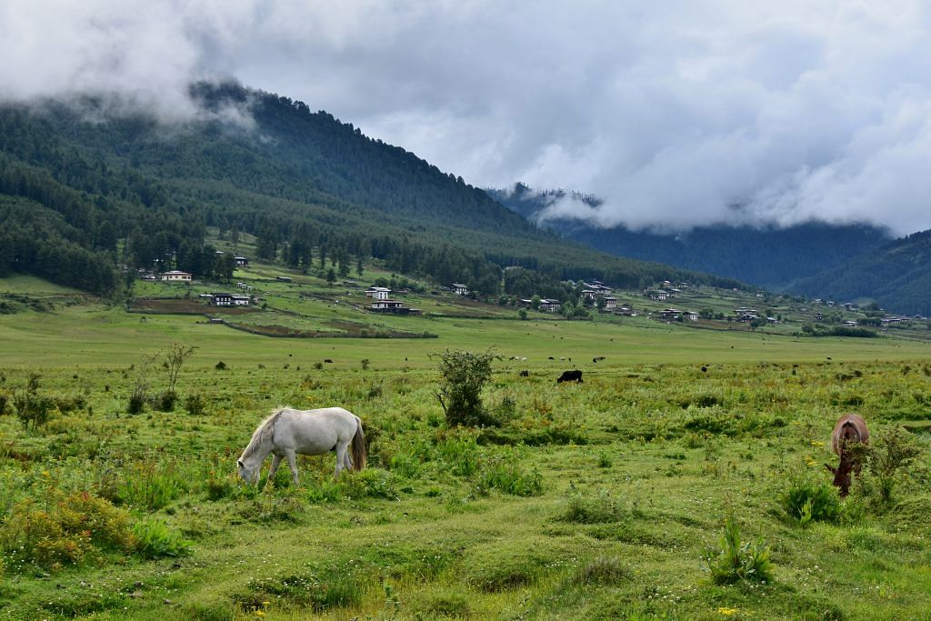 blog-images