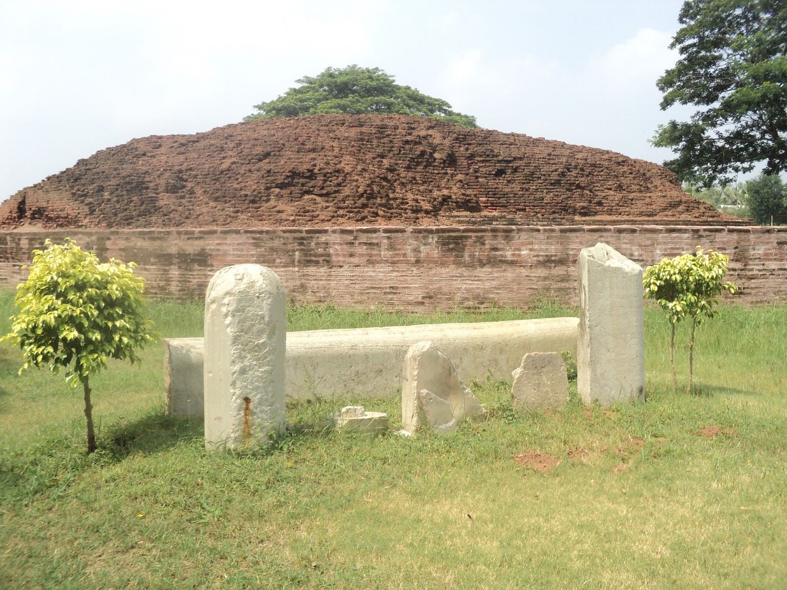 blog-images