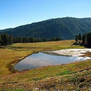 blog-images