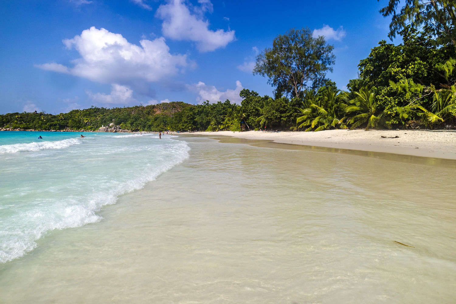 elephant-beach-andaman