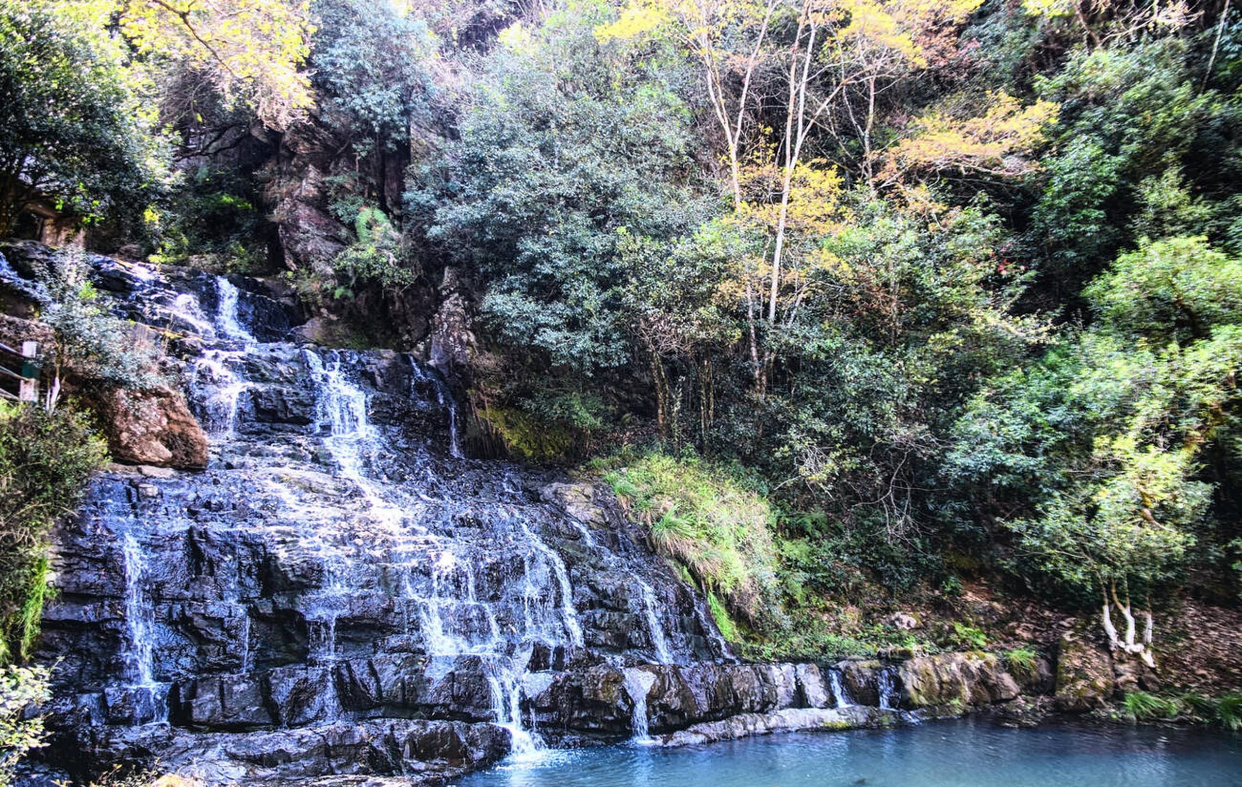 blog-images