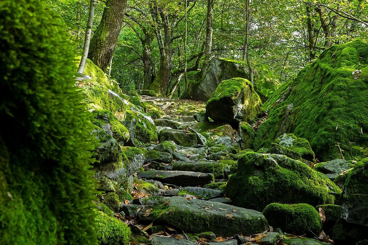 blog-images