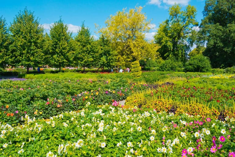 gorky-central-park-almaty-your-ultimate-guide-to-fun-and-relaxation