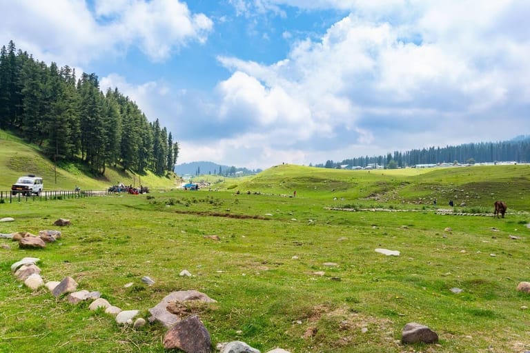 gulmarg-wildlife-sanctuary