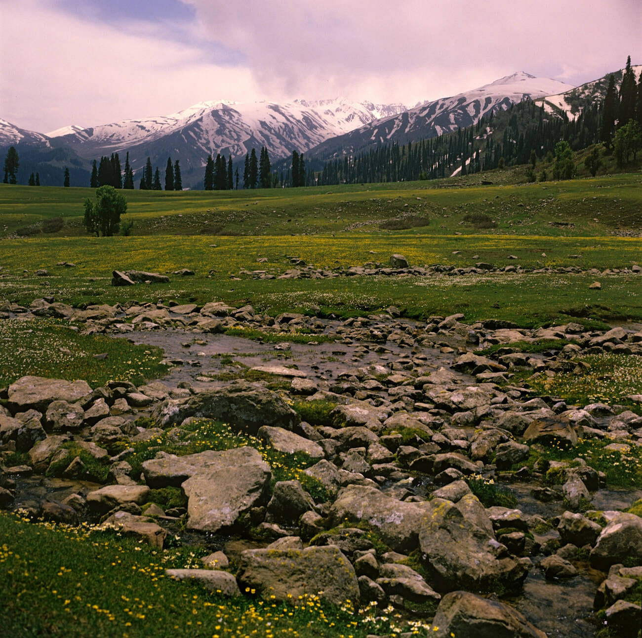 kangdori-kashmir