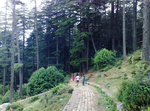 blog-images