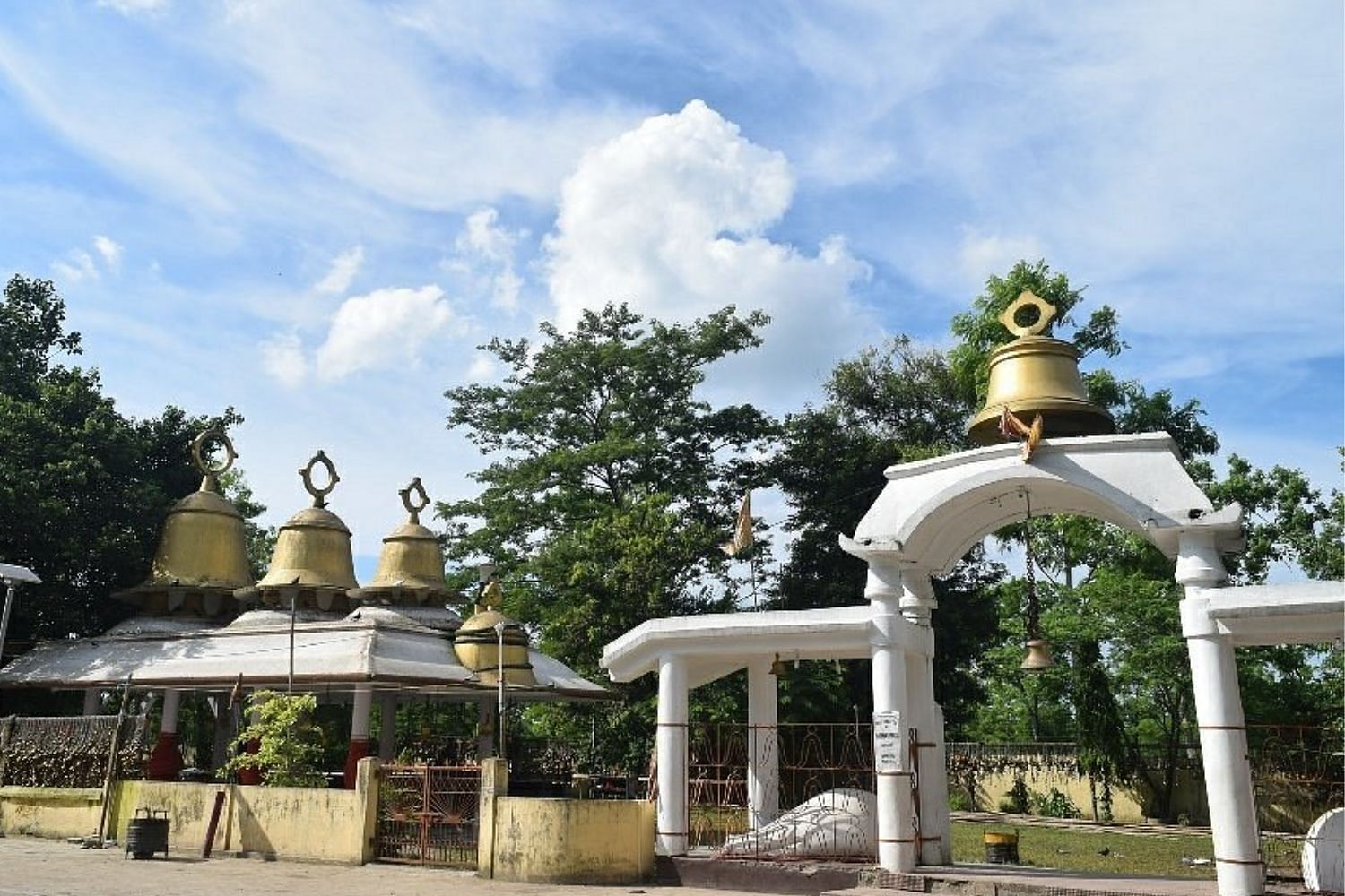 blog-images