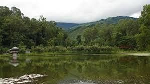 blog-images