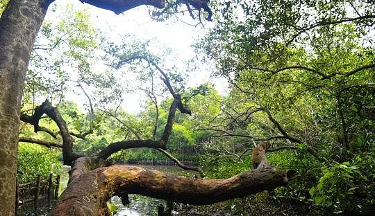 blog-images