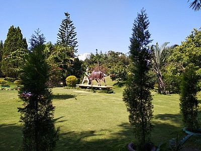 blog-images