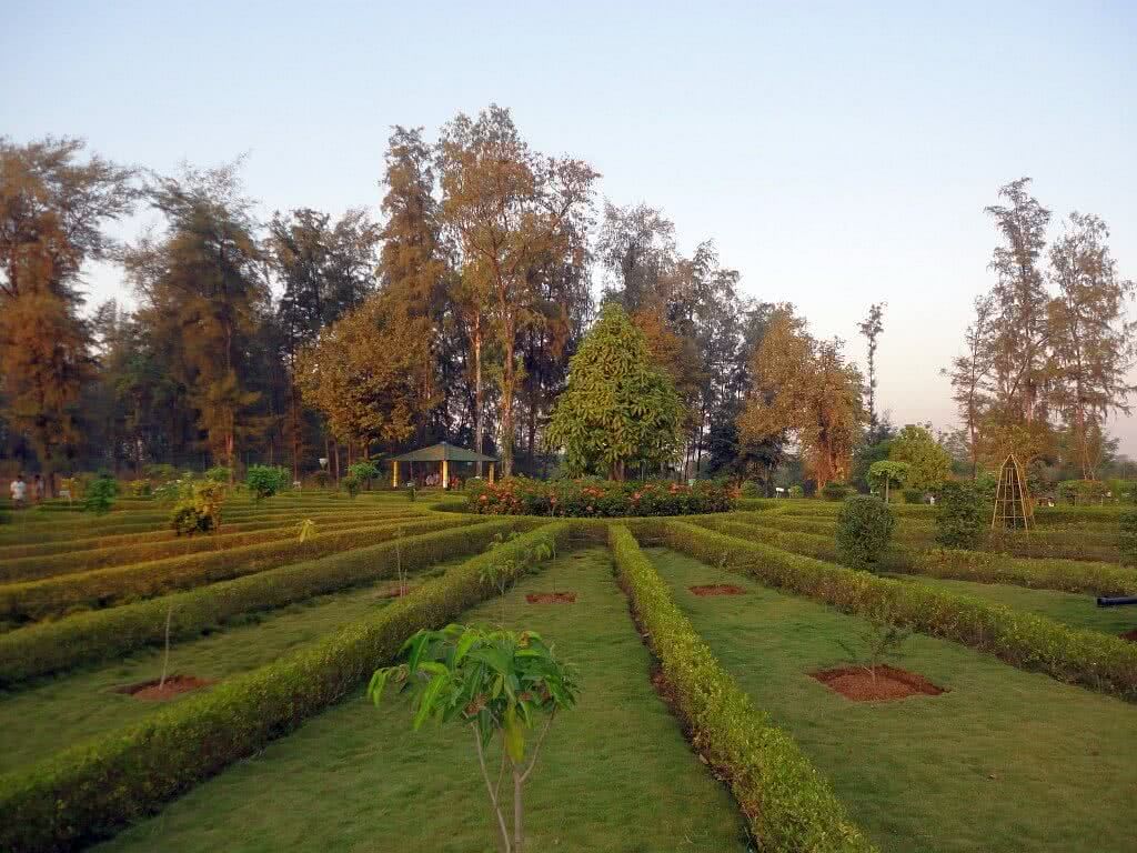 blog-images