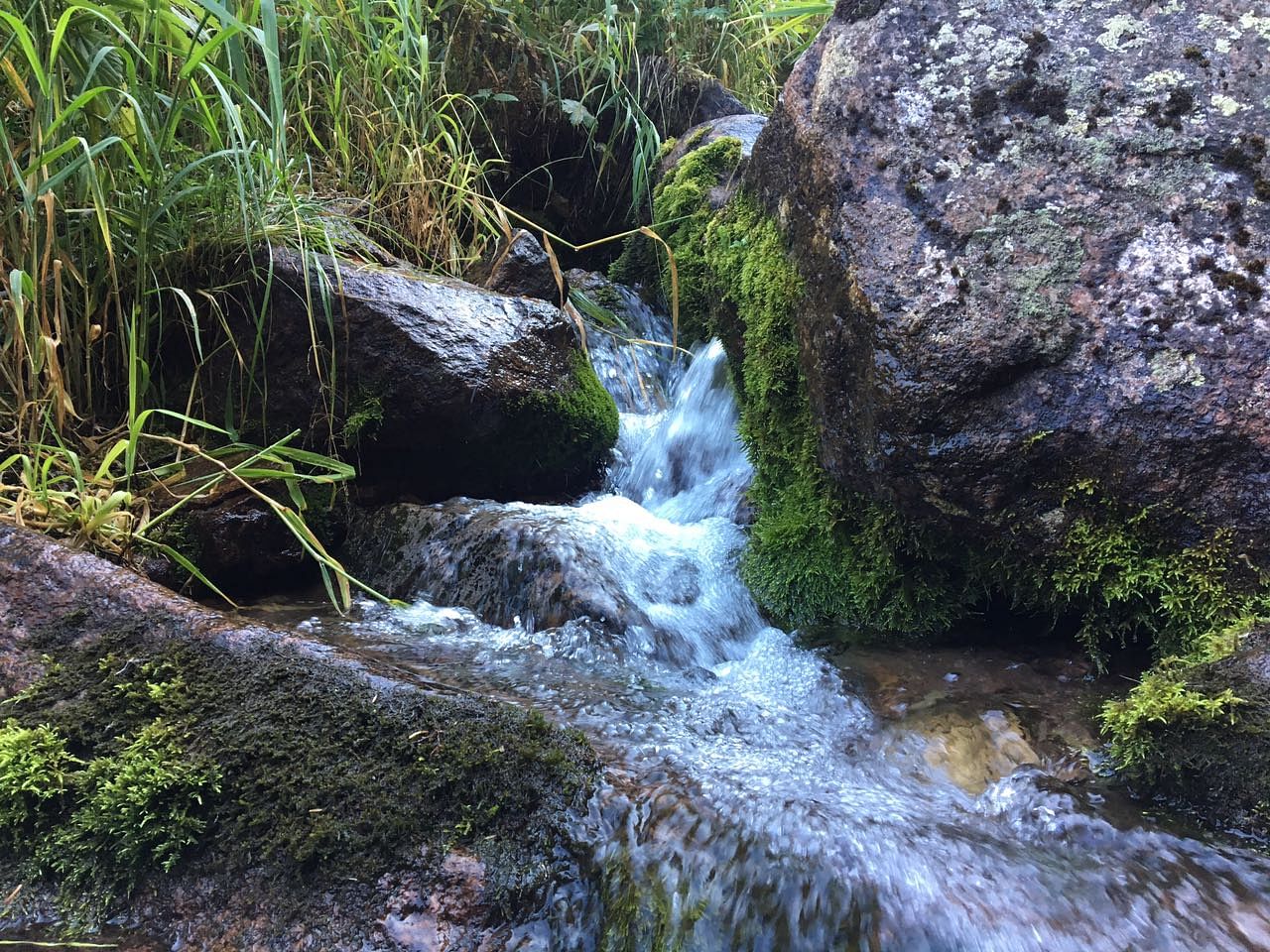 blog-images