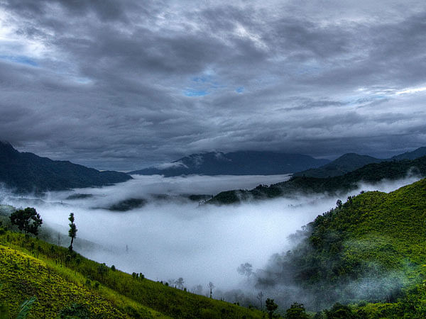 blog-images