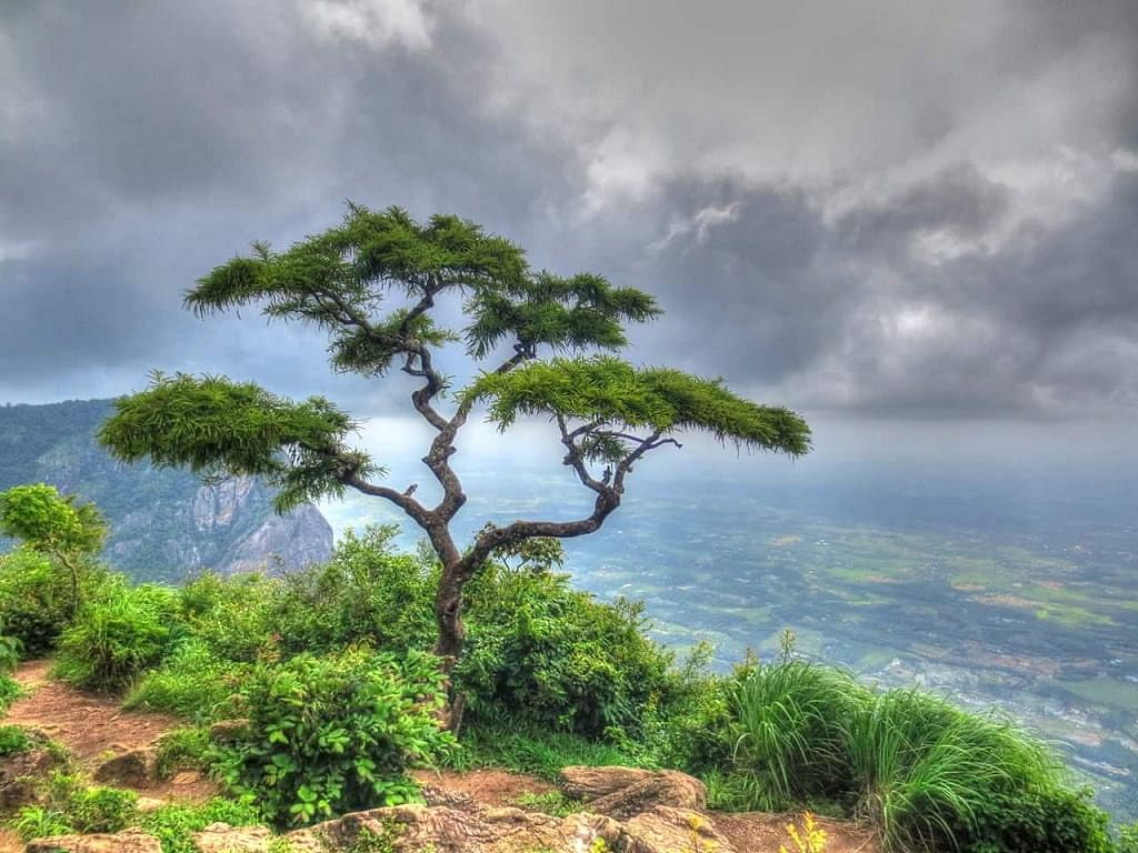Places to visit in Kerala in winter