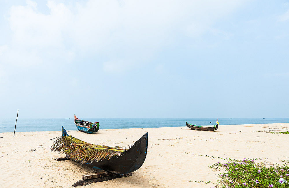 blog-images