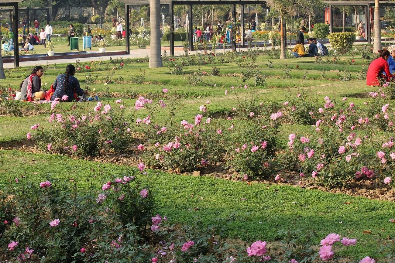 rose-garden-in-delhi
