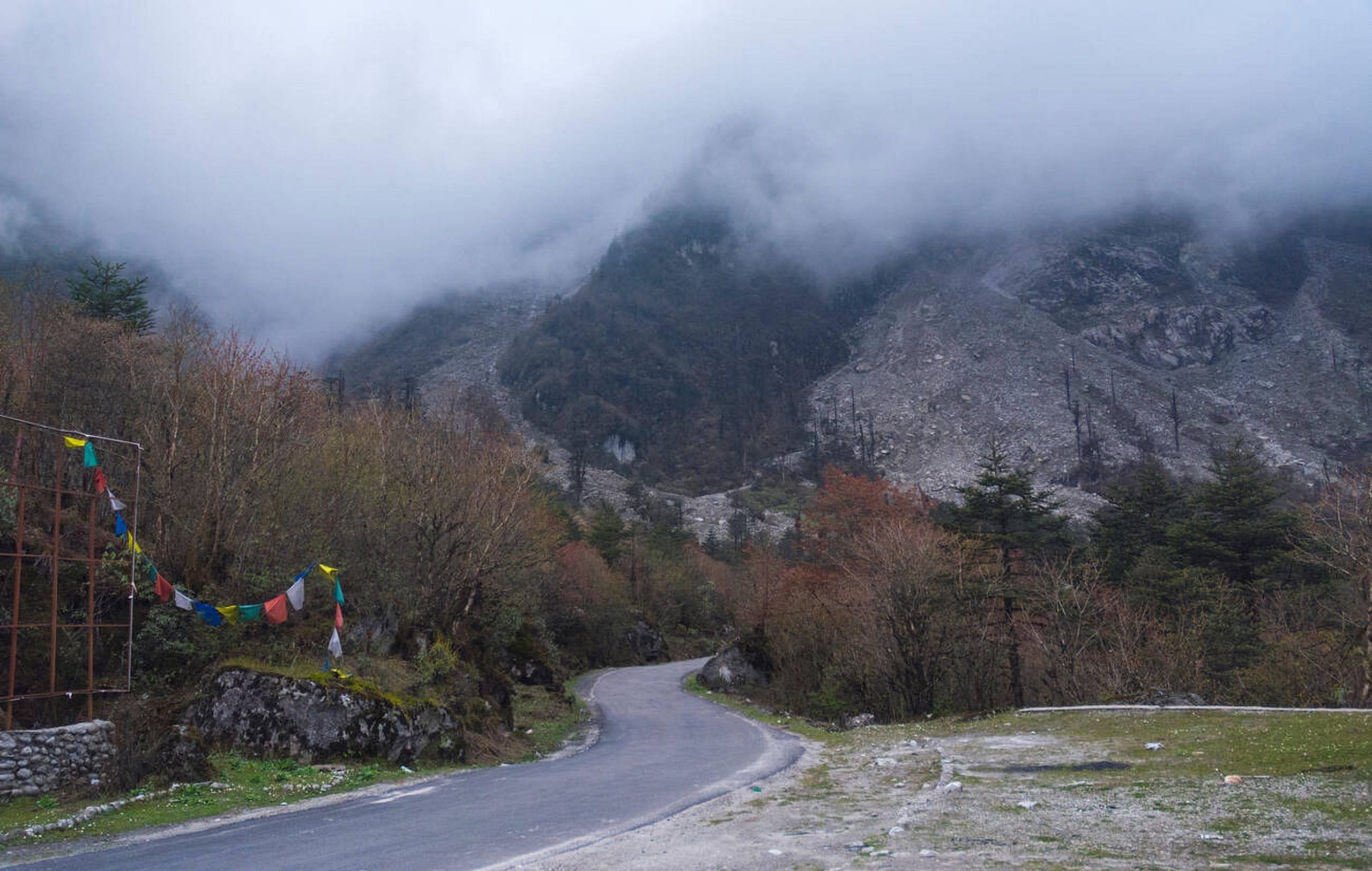 blog-images