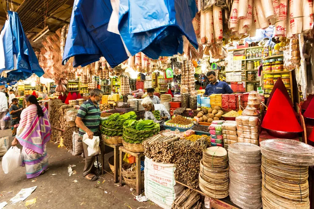 shopping-in-chopta
