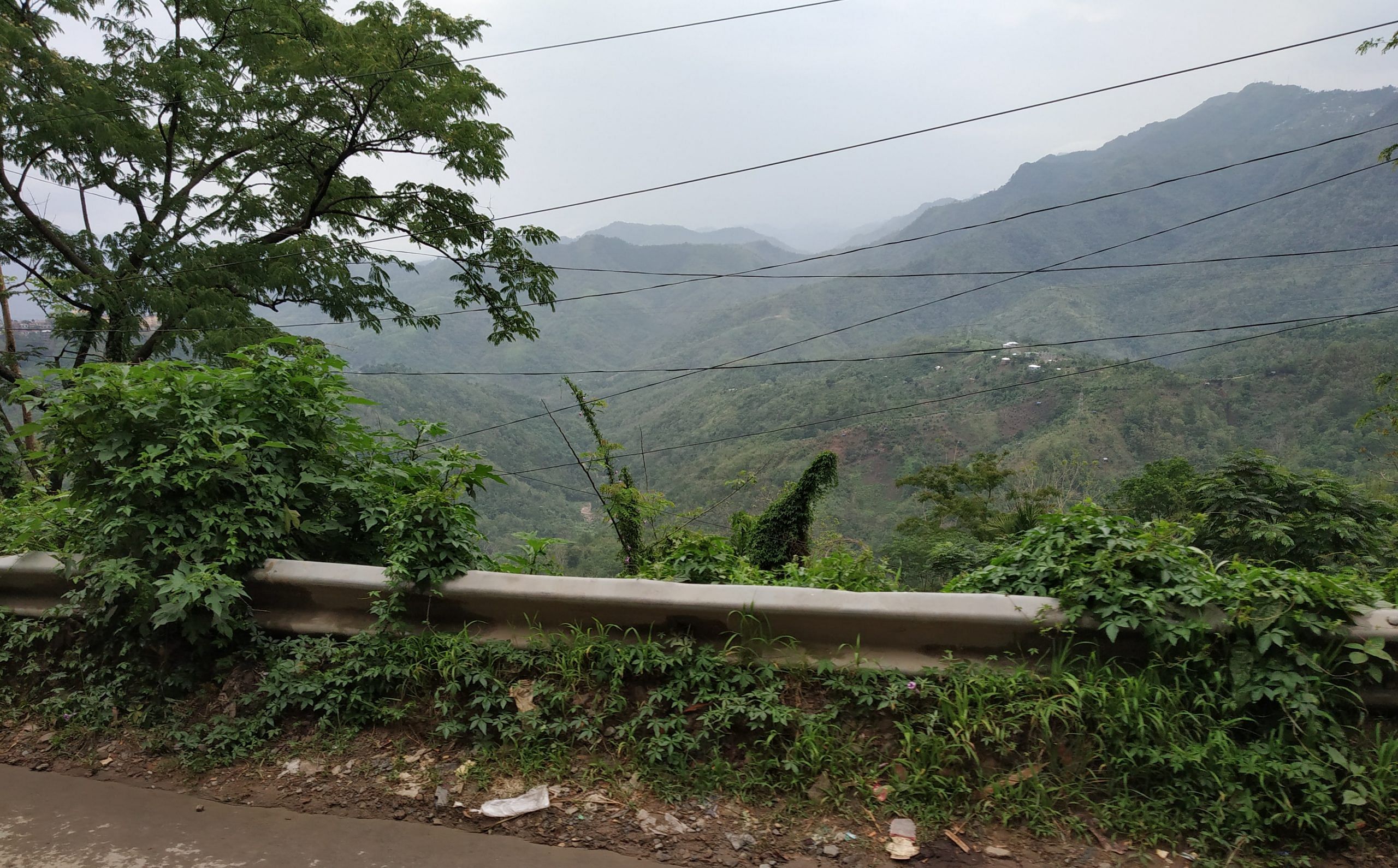 blog-images