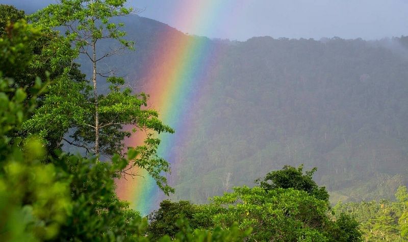 blog-images