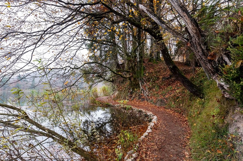 blog-images
