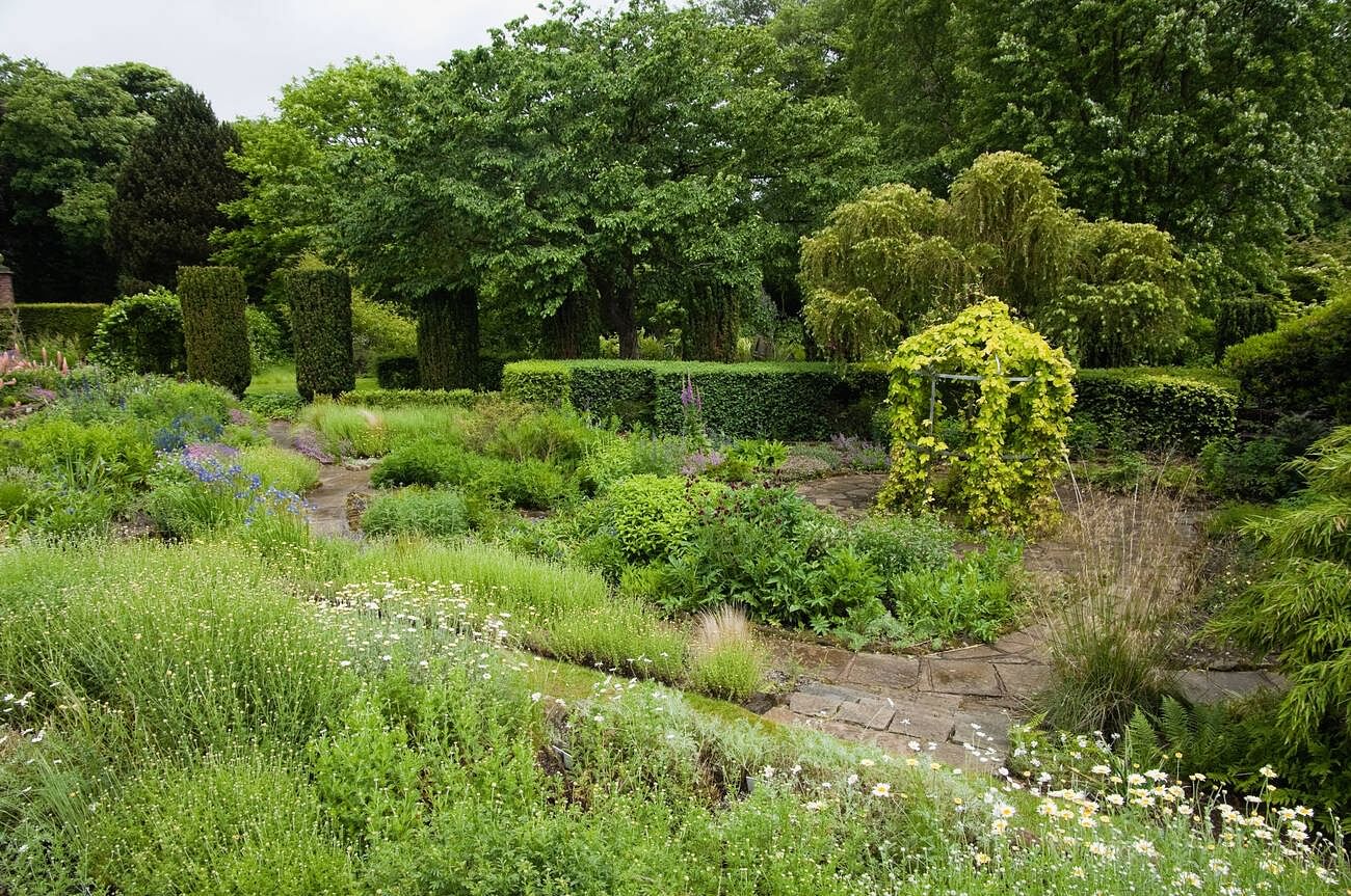 blog-images