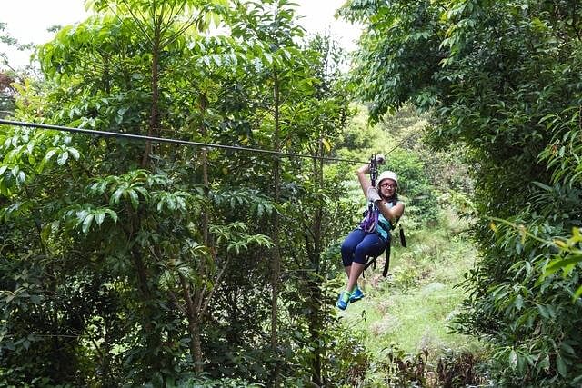 zipline
