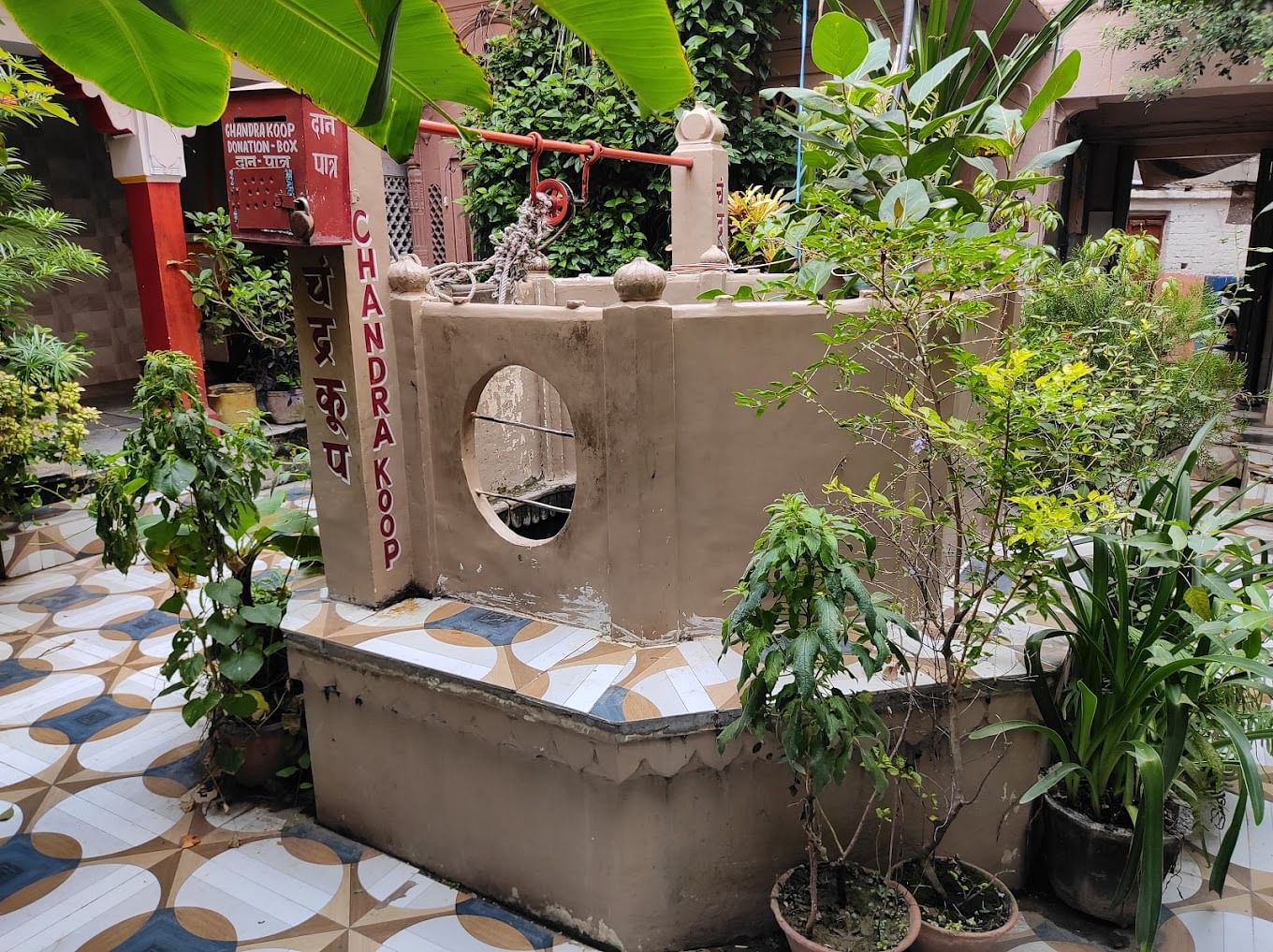 blog-images