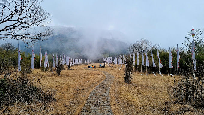 blog-images