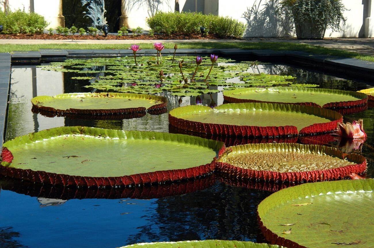 gardens-in-birmingham