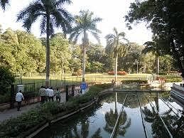 blog-images