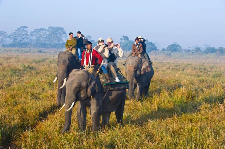jungle-safari-in-meghalaya