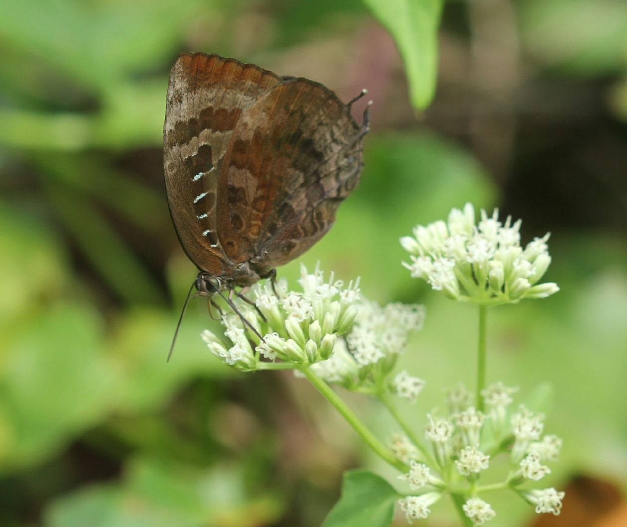 blog-images