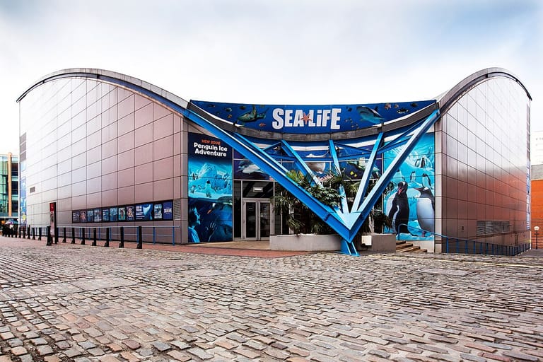 national-sea-life-centre-birmingham