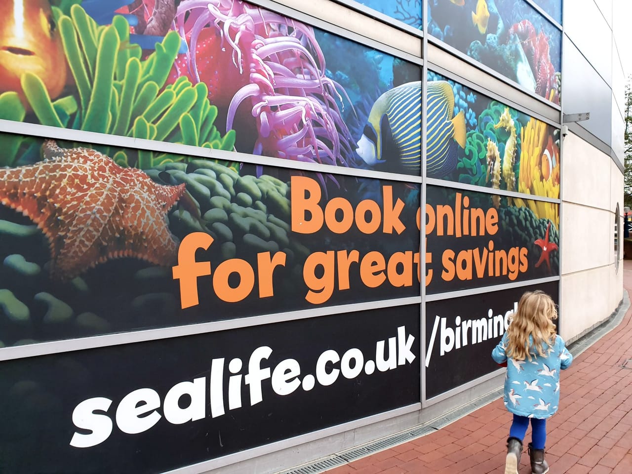 national-sea-life-centre-birmingham-your-personal-guide