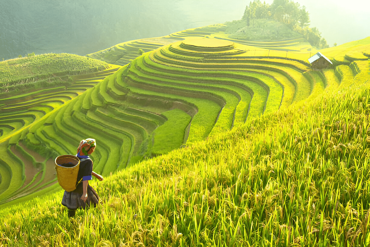 trekking-in-vietnam