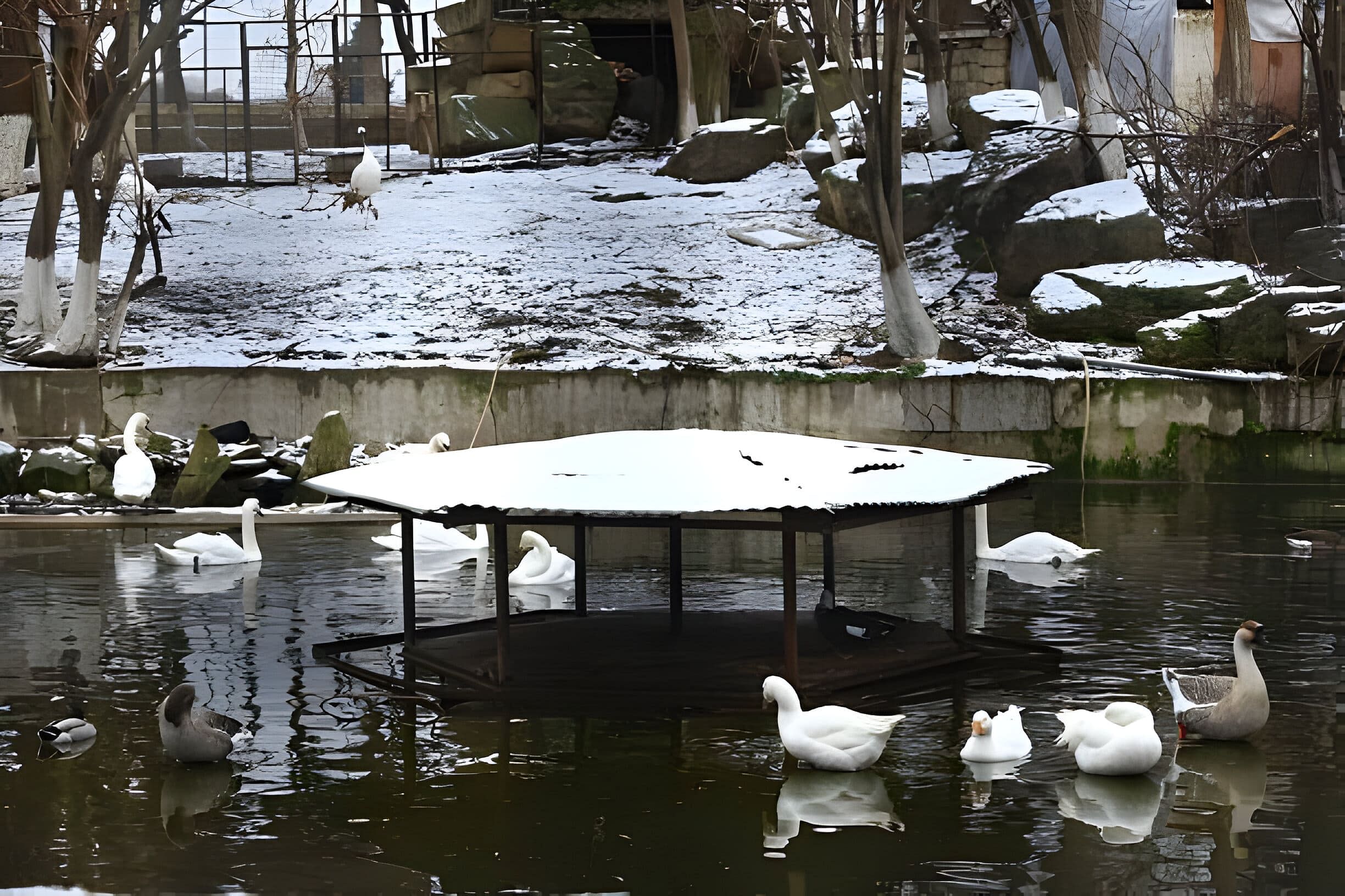 blog-images