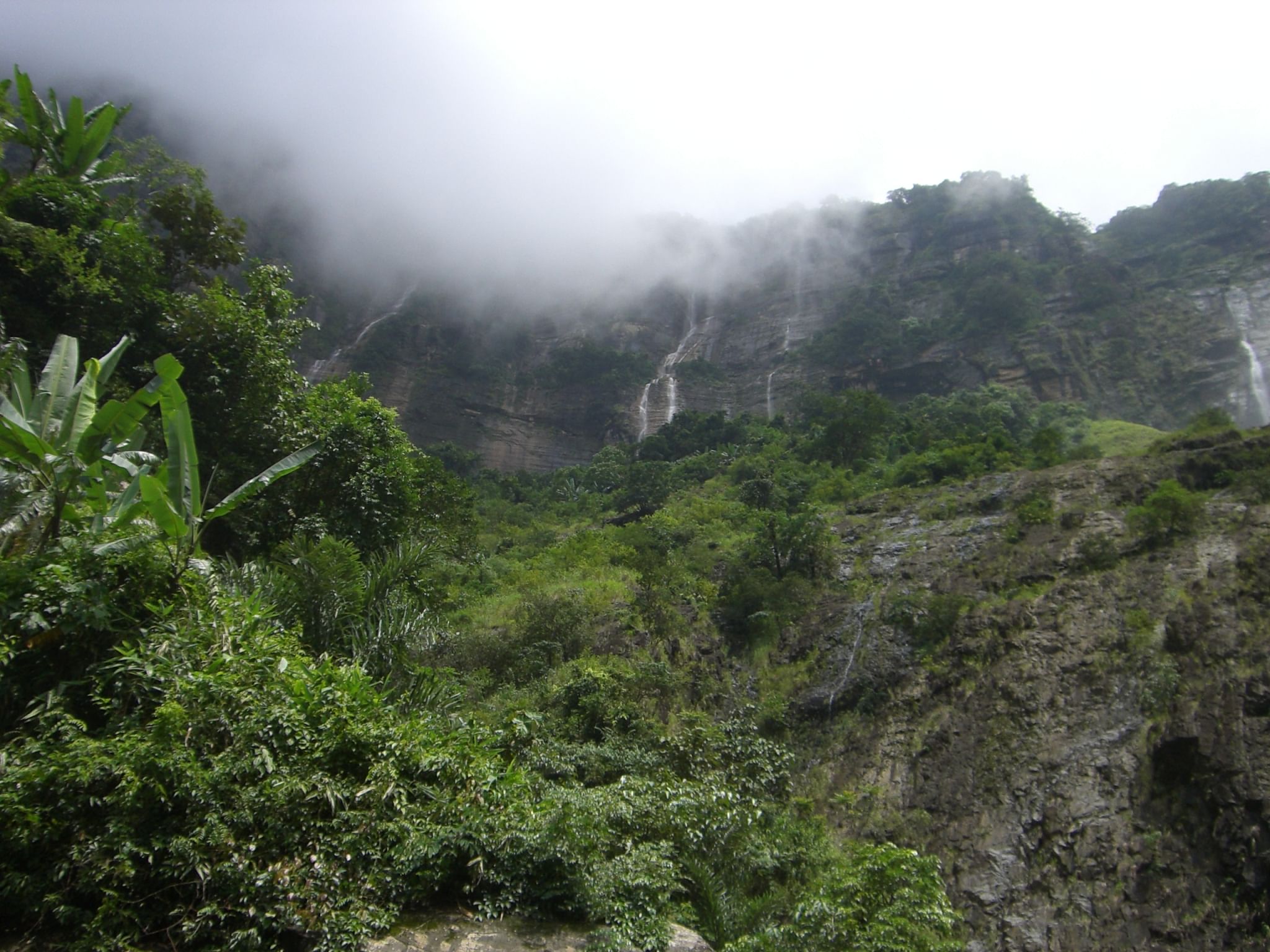 blog-images