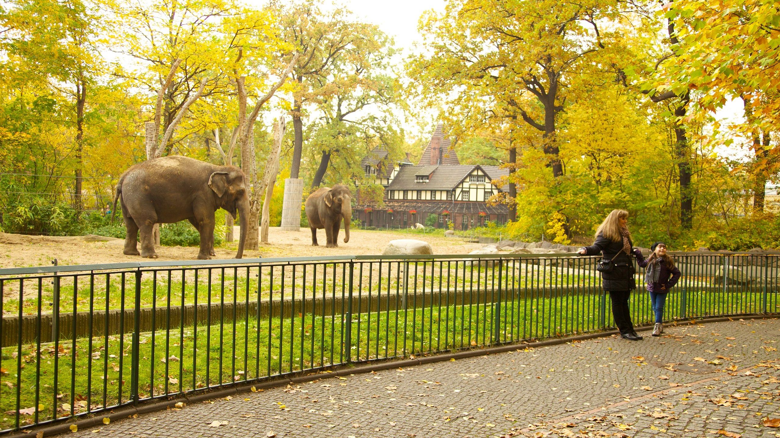 berlin-zoo