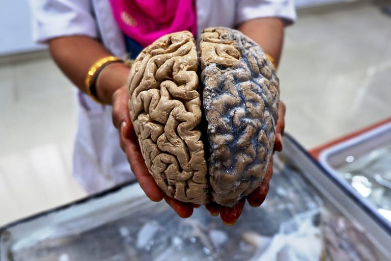 first-brain-museum-in-india