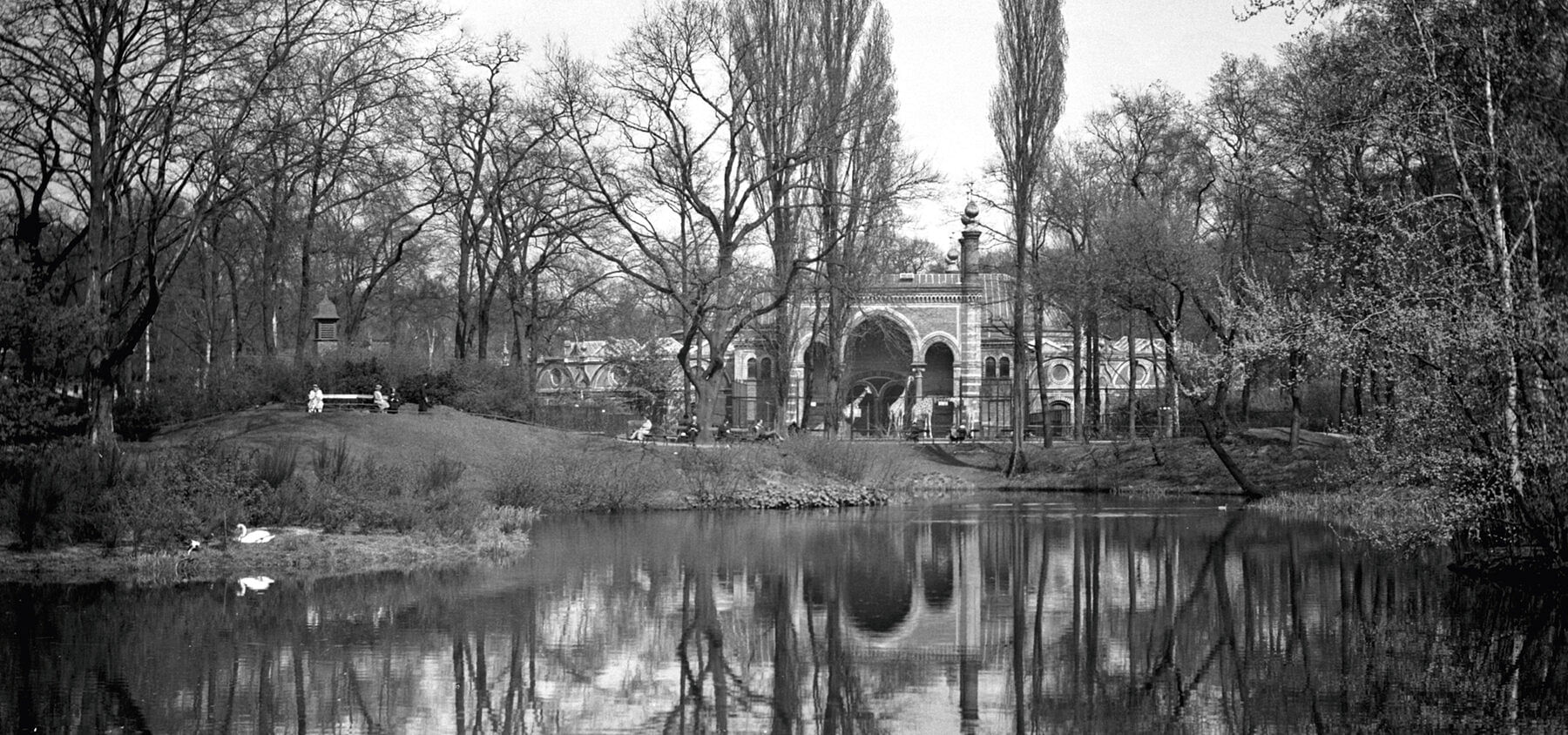 blog-images