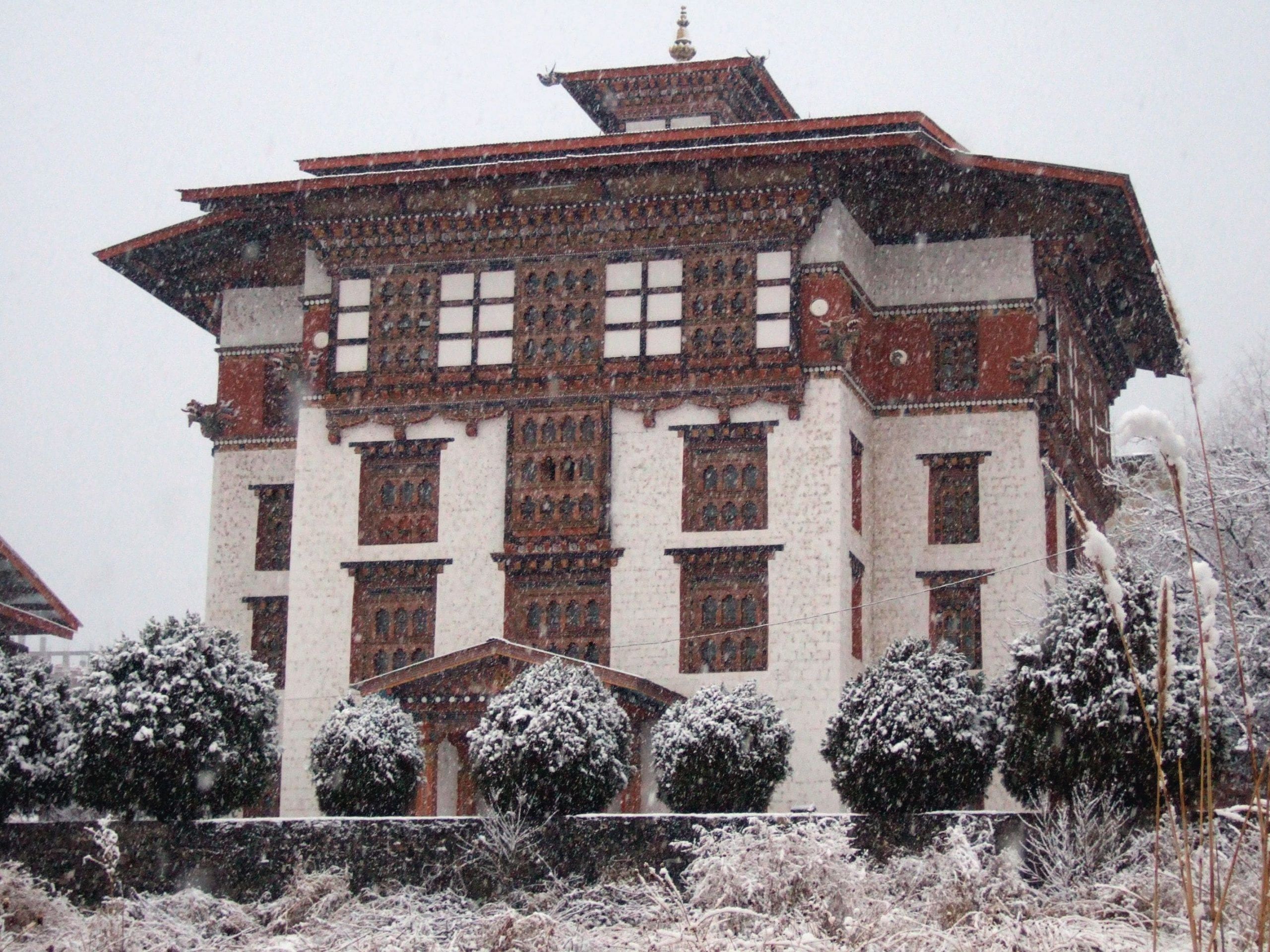 blog-images