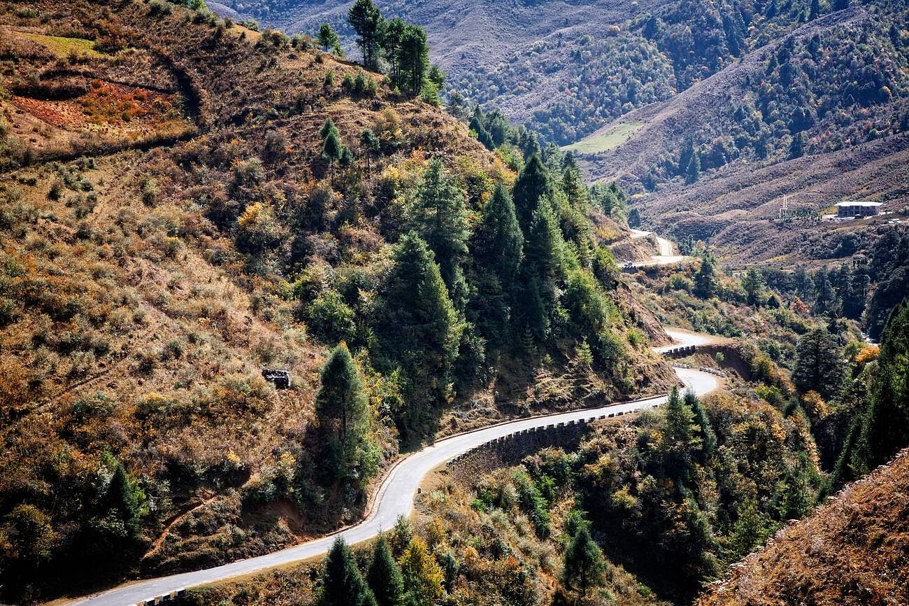 blog-images