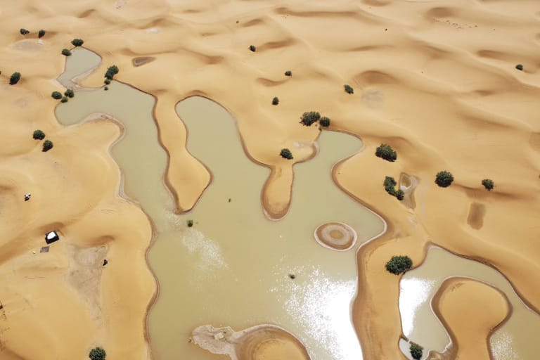 rainfall-in-sahara-desert