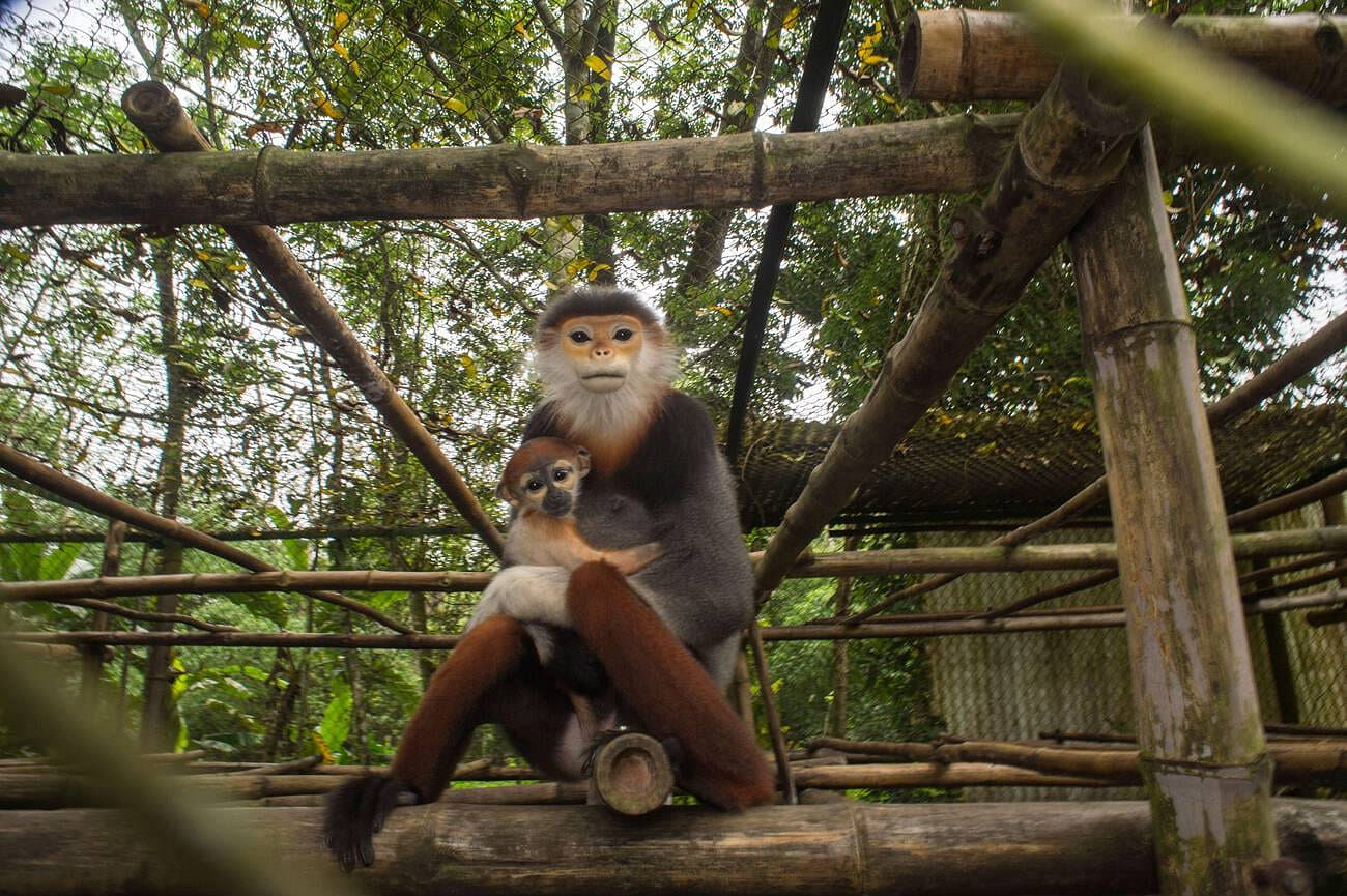 vietnam-national-parks
