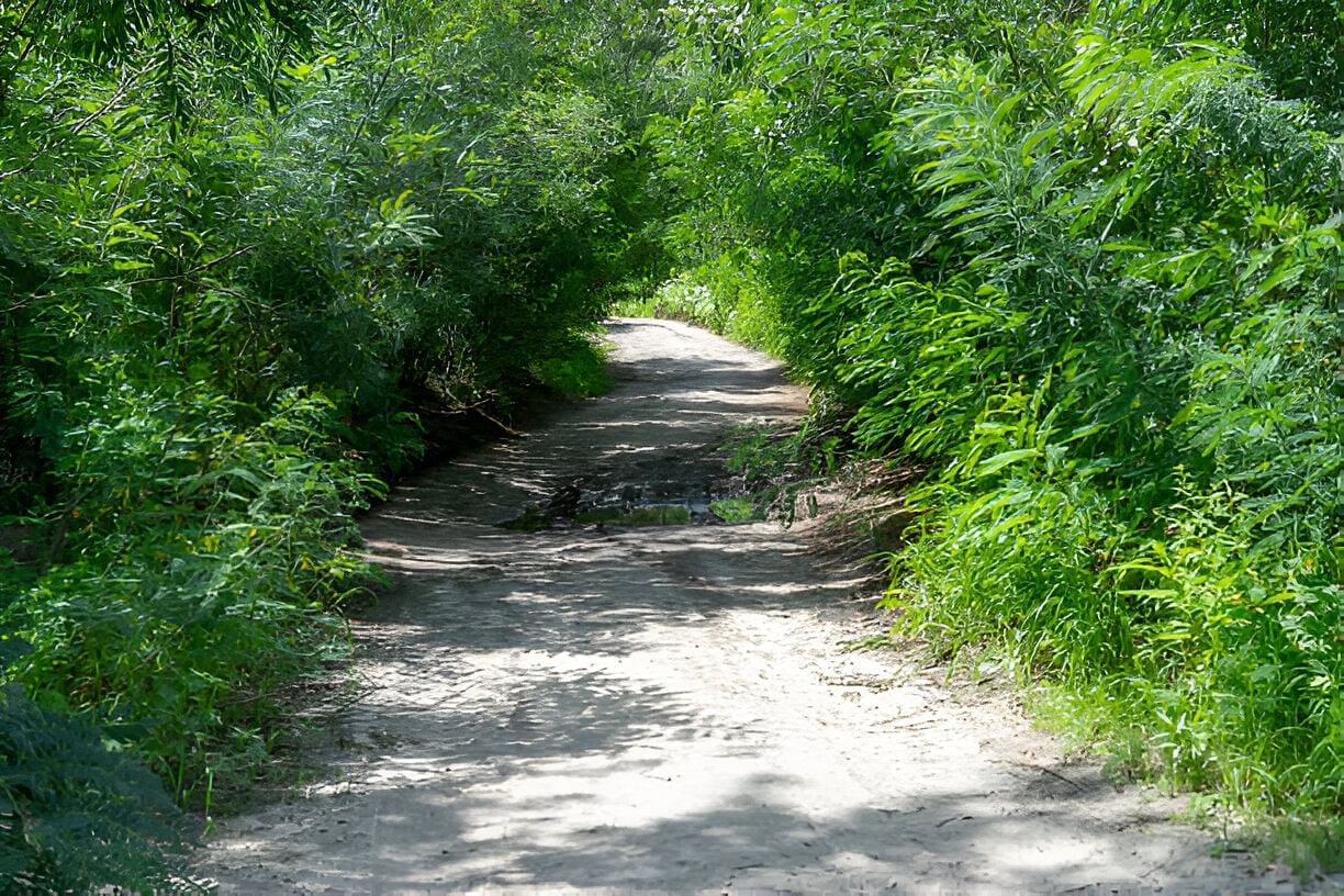 blog-images