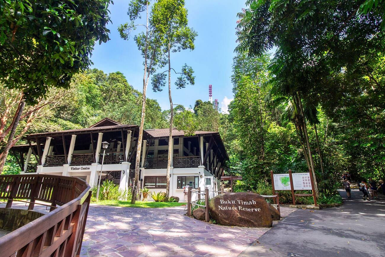 bukit-timah-nature-reserve-in-singapore